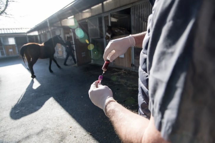 Analyses Médicale 1