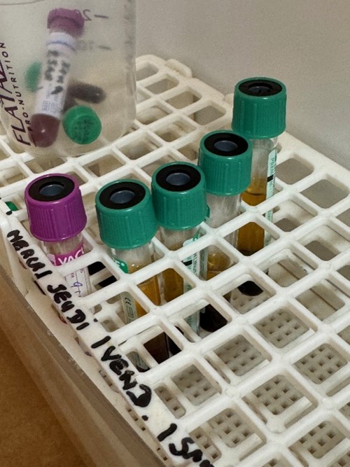 Analyses Médicale 3