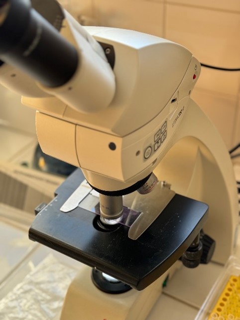 Analyses Médicale 5