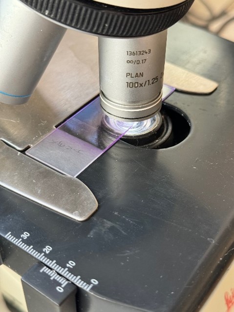 Analyses Médicale 6