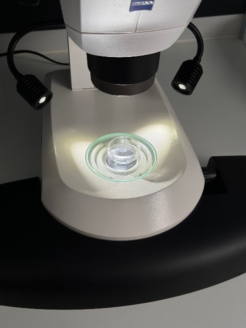 Analyses Médicale 7